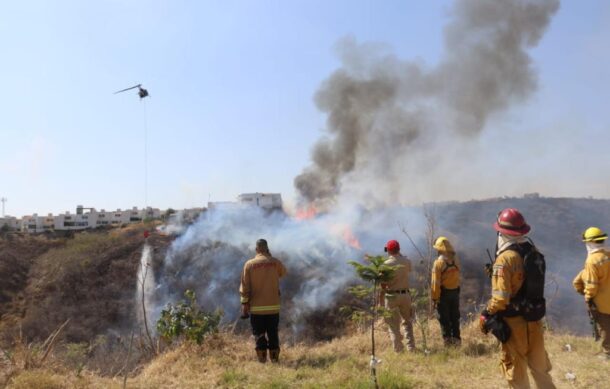 Reportan incendios en dos zonas forestales de Zapopan