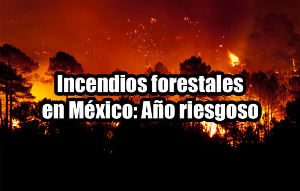 Incendios forestales en México: Año riesgoso
