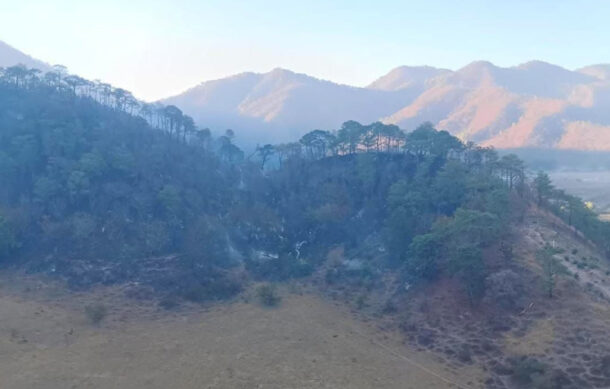 Controlan voraz incendio en Mascota que cobró la vida de un voluntario