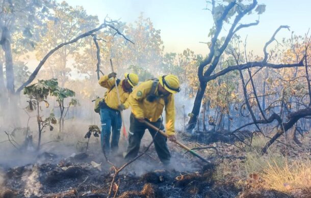 Contienen incendio en Cerro de Bugambilias