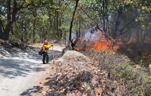 Combaten intenso incendio en La Primavera