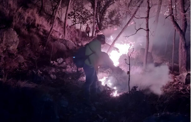 Cumple 14 horas incendio forestal en Tala