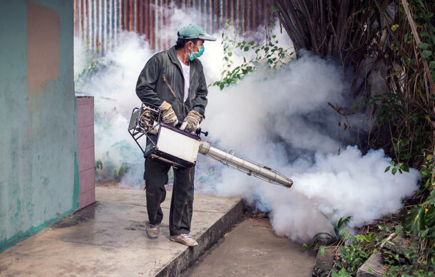 Congreso de Jalisco pide intensificar fumigaciones ante riesgo de dengue