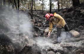 Zapopan reporta temporada atípica de incendios en 2026