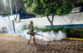 Zapopan redobla esfuerzos para evitar proliferación del dengue