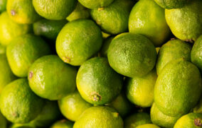 Productores de Apatzingán tiran limón en protesta por bajos precios de compra