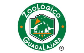 Niños podrán ingresar por un peso al Zoológico Guadalajara del 12 al 31 de mayo