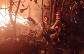 Jalisco, con reducción de incendios forestales en 2025