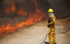 Pronostican 7 mil 500 incendios forestales en México