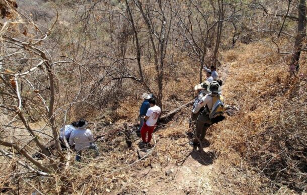 Rescatan a caballo desbarrancado en GDL