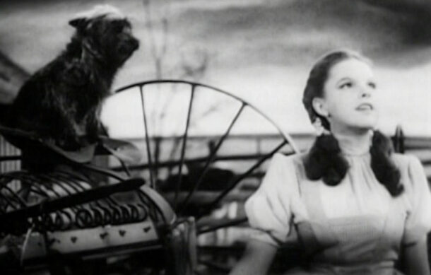 🎶 El Sonido de la Música – Yip Harburg