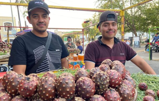 Cambio climático afecta cosecha de pitaya en Jalisco