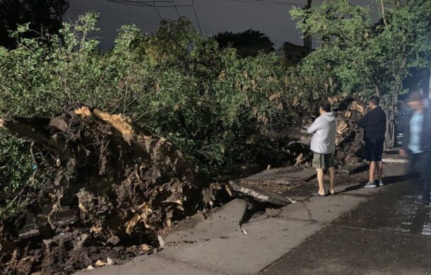 Lluvia de este jueves deja 47 árboles caídos y 17 autos varados en ZMG