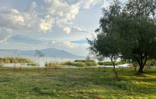 Reparan fuga de aguas negras en Ajijic