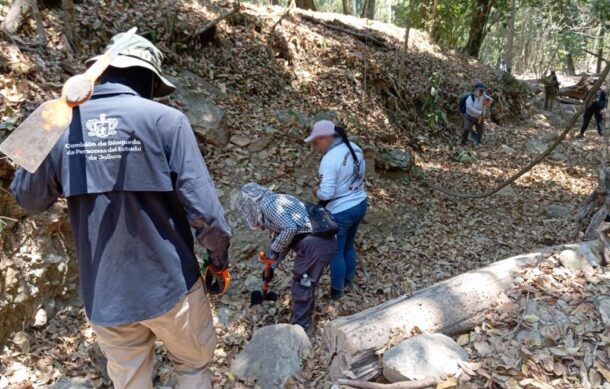 Localizan restos óseos en operativo de búsqueda en Puerto Vallarta