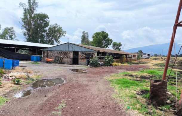 Clausuran cuatro empresas en Jalisco por incumplir normas ambientales