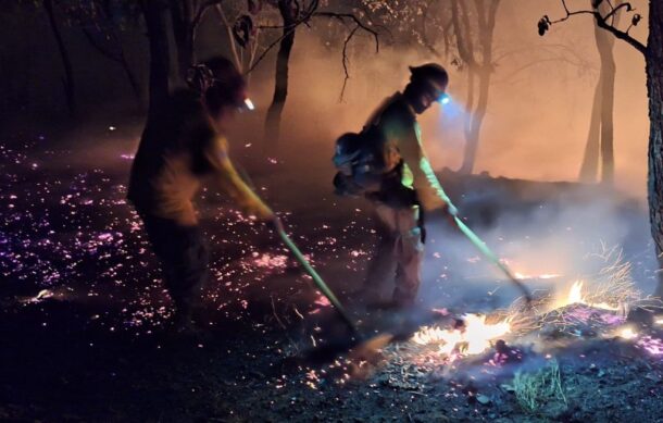 Incendios forestales en estiaje afectan 90 mil hectáreas en Jalisco