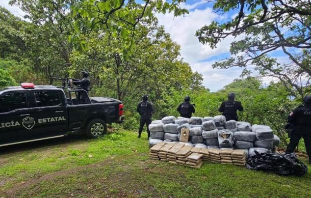 Aseguran más de 2.2 millones de dosis de marihuana en Ahualulco del Mercado