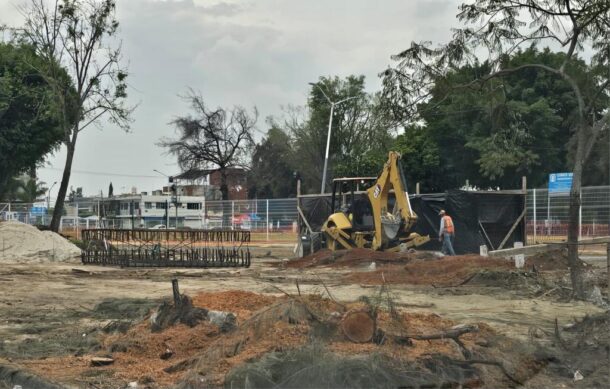 Sacrifican árboles y arbustos afuera del Estadio Jalisco para instalar monumento a Pelé