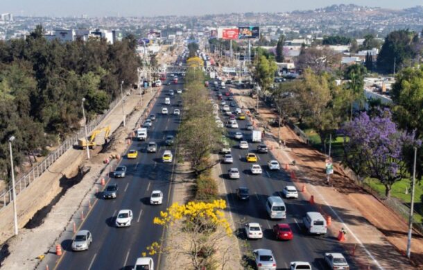 Retiran 387 árboles por obras del BRT en Carretera a Chapala