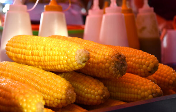 Anuncian la tradicional Feria del Elote en Tesistán