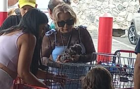 Denuncian venta de cachorros en estacionamiento de tienda en Zapopan