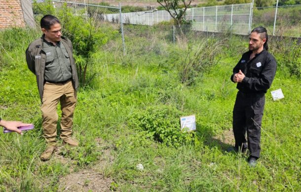 Jalisco experimenta la búsqueda de fosas por cambios en la vegetación