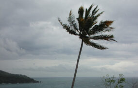 Tormenta tropical Mario provoca lluvias y oleaje en costas del Pacífico central