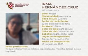 Maestra Irma Hernández murió de un infarto tras plagio: autoridades