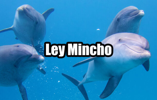 Ley Mincho