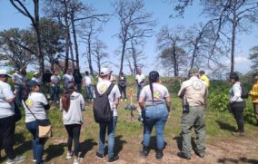 Protección Civil y farmacéutica reforestan La Primavera