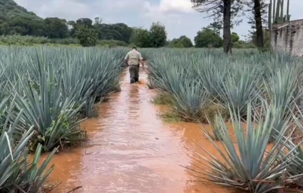 Se desbordó el río Los Sabinos en Atotonilco El Alto