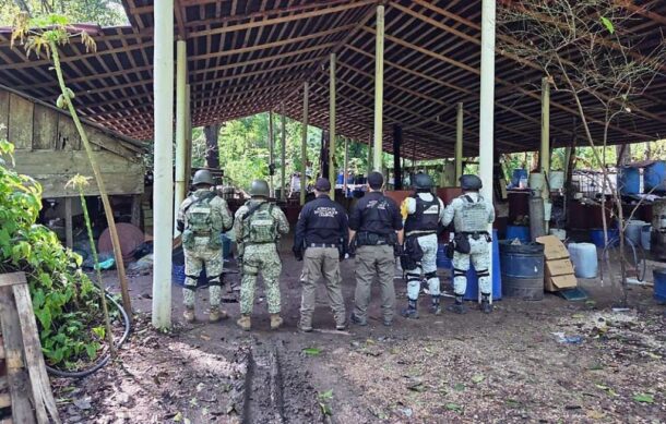 Decomisan casi una tonelada de metanfetamina en Palenque, Chiapas