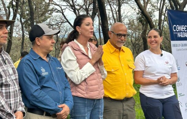 Baja verificación vehicular es por flojera y apatía: Paola Bauche
