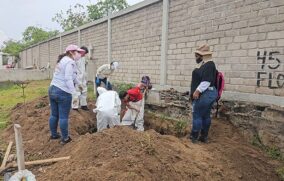 La CNB ajusta estrategia y trabajará directamente con colectivos estatales