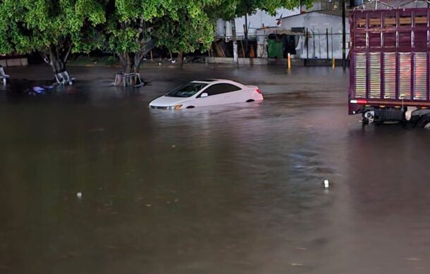 Más de 15 árboles caídos y 14 autos varados dejó la lluvia de esta madrugada en la ZMG