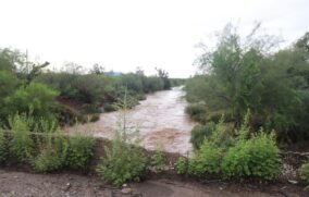 Depresión tropical Lorena deja inundaciones en Sonora
