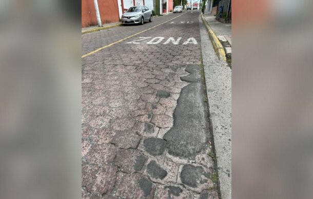 Calle Laguna de Alvarado en Lagos del Country tiene décadas sin mantenimiento: vecina