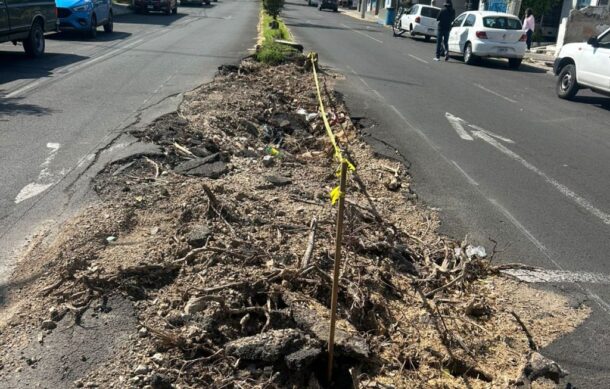 Siguen destruidos los camellones sobre la Av. Sierra de Tapalpa