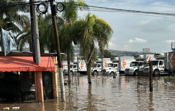 Traileros quedaron atrapados sobre Av. Adolf Horn