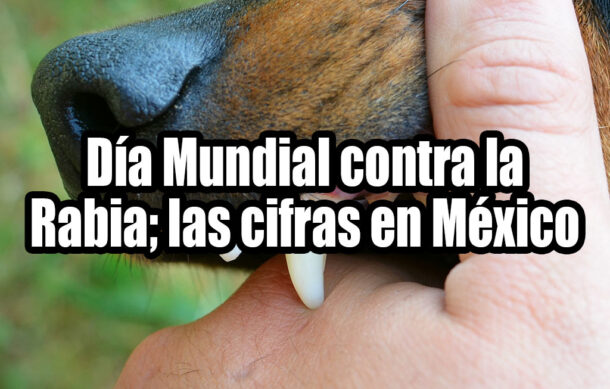 Día Mundial contra la Rabia; las cifras en México