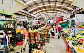 Este martes reabrirá el Mercado de Abastos