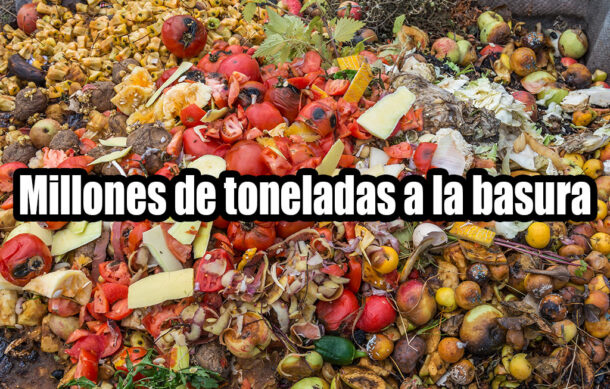 Millones de toneladas a la basura