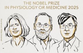 Mary E. Brunkow, Fred Ramsdell y Shimon Sakaguchi reciben el Premio Nobel de Medicina 2025