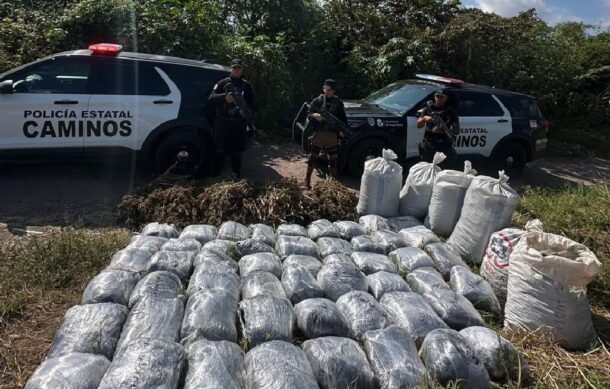 Policía de Jalisco asegura 500 kilos de marihuana en límites con Nayarit