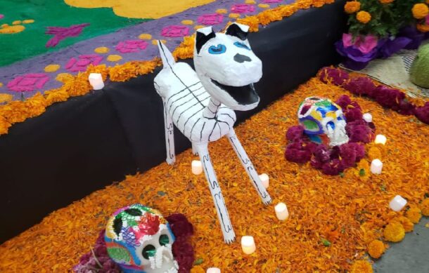 Hoy, 27 de octubre, recuerdan con altares a las mascotas fallecidas
