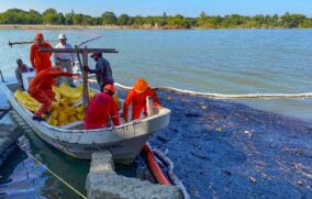 Alertan posible desabasto de agua en Tuxpan, Veracruz, tras derrame de hidrocarburo