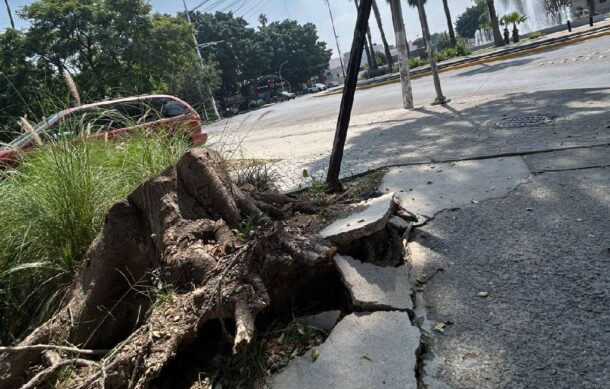 Banqueta destruida sobre avenida Enrique Díaz de León