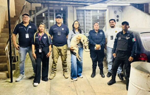 Rescatan a perro en estado de desnutrición en El Salto