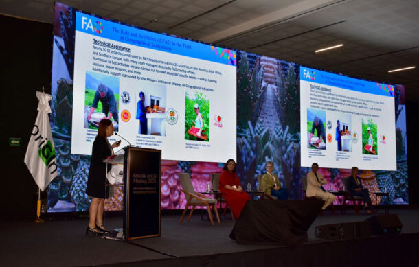 Expertos dialogan en la Bienal de oriGIn sobre los retos y oportunidades de las Indicaciones Geográficas
